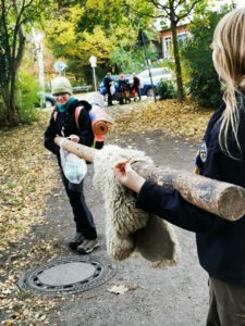 Mehr über den Artikel erfahren Teamübernachtung der Panther_2025-10